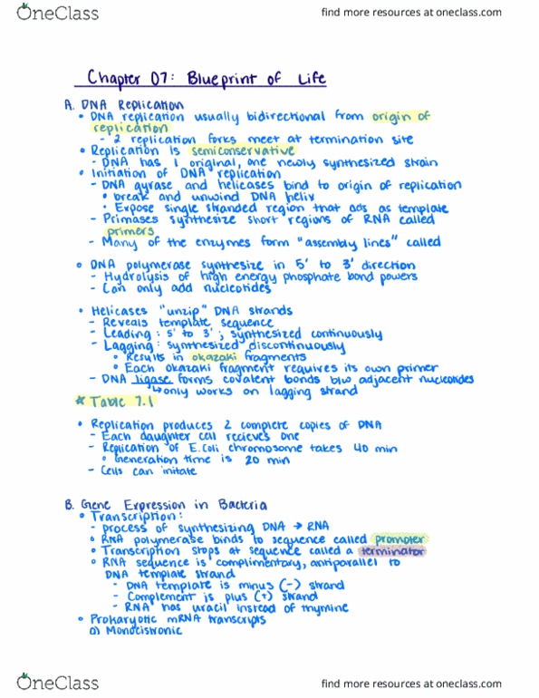 BIOL 275 Lecture Notes - Lecture 5: Dna Replication, Semiconservative Replication, Uracil thumbnail