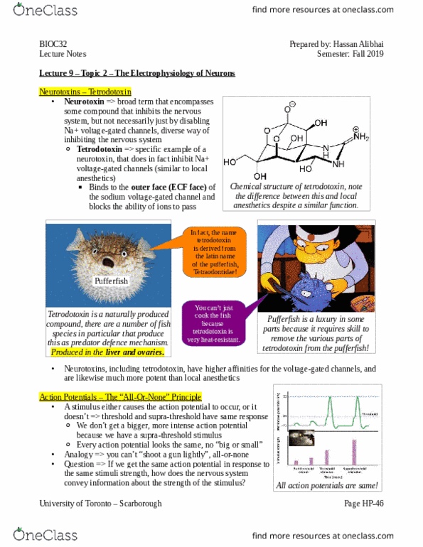 BIOC32H3 Lecture Notes - Lecture 9: Tetrodotoxin, Tetraodontidae, Electrophysiology thumbnail