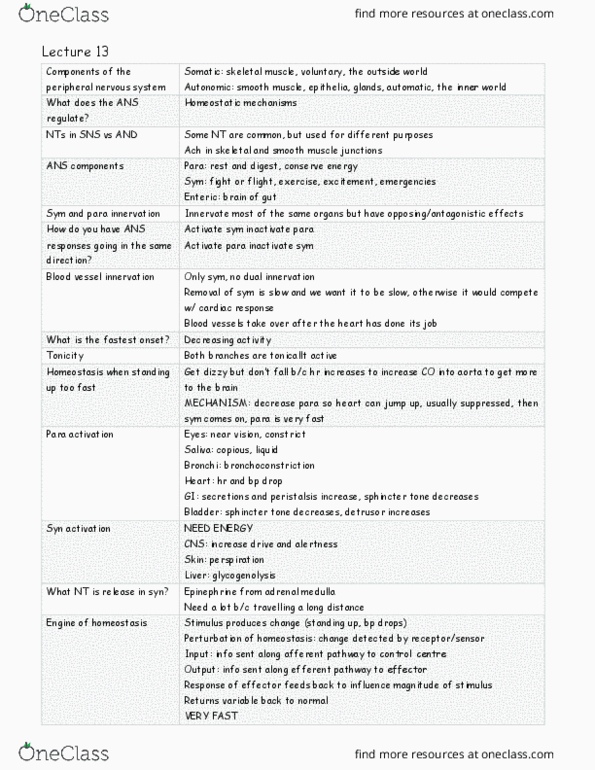 PHAR 340 Lecture Notes - Lecture 13: Para Para, Adrenal Medulla, Skeletal Muscle thumbnail