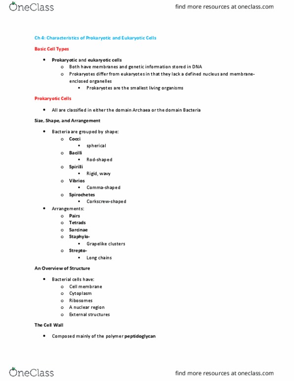 01:119:131 Chapter Notes - Chapter 4: Cell Membrane, Spirochaete, Bacilli thumbnail