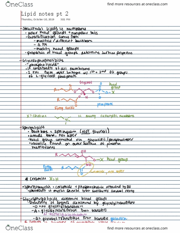 BIOC 8101 Lecture 22: lipids 2 thumbnail