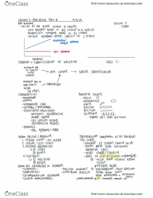 PB HLTH 162A Lecture Notes - Lecture 3: Coccobacillus, Spirillum, Laminal Consonant thumbnail