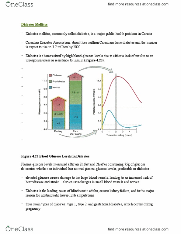 HLTB11H3 Chapter Notes - Chapter 4: Diabetes Canada, Gestational Diabetes, Diabetes Mellitus Type 1 thumbnail