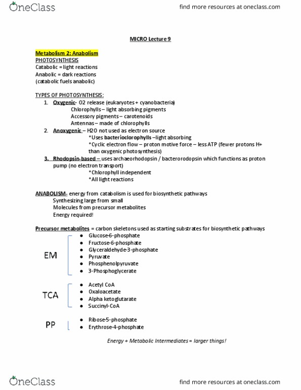 BIOL 312 Lecture 9: MICRO Lecture 9 thumbnail