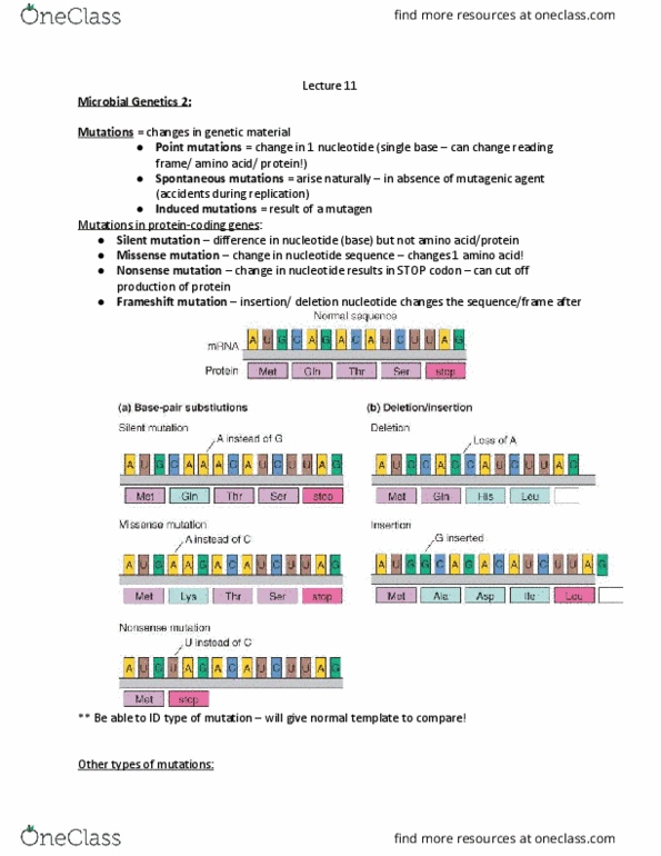 BIOL 312 Lecture Notes - Lecture 11: Missense Mutation, Frameshift Mutation, Nonsense Mutation thumbnail