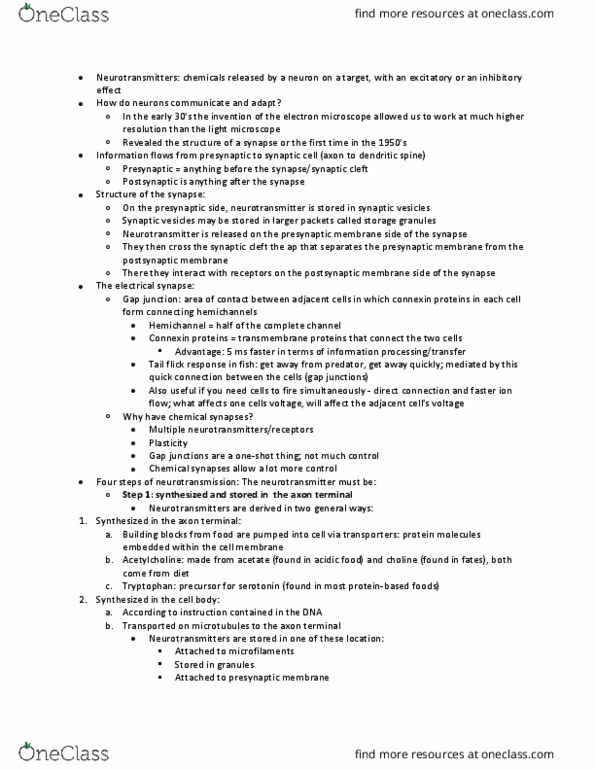 PSYC 375 Lecture Notes - Lecture 13: Excitatory Synapse, Axon Terminal, Electrical Synapse thumbnail