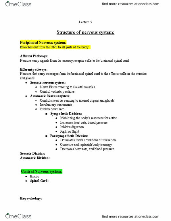 Psychology 1000 Lecture Notes - Lecture 5: Somatic Nervous System, Autonomic Nervous System, Sensory Neuron thumbnail