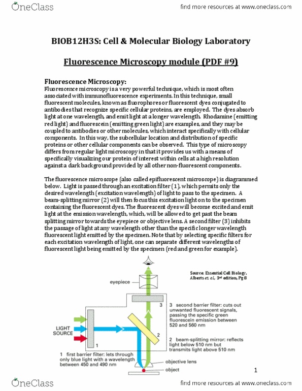 BIOB12H3 Lecture Notes - Mitosis, Microtubule, Geminin thumbnail