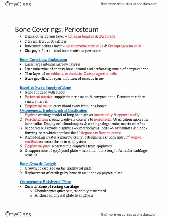 BIOL 3100 Lecture Notes - Lecture 6: Epiphyseal Plate, Mesenchymal Stem Cell, Hyaline Cartilage thumbnail