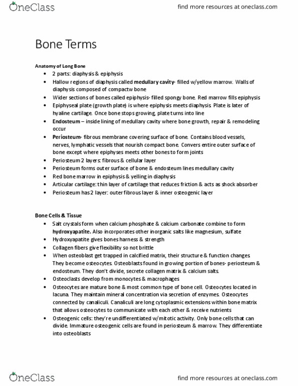 BIOL 3100 Lecture Notes - Lecture 3: Bone Marrow, Medullary Cavity, Hyaline Cartilage thumbnail