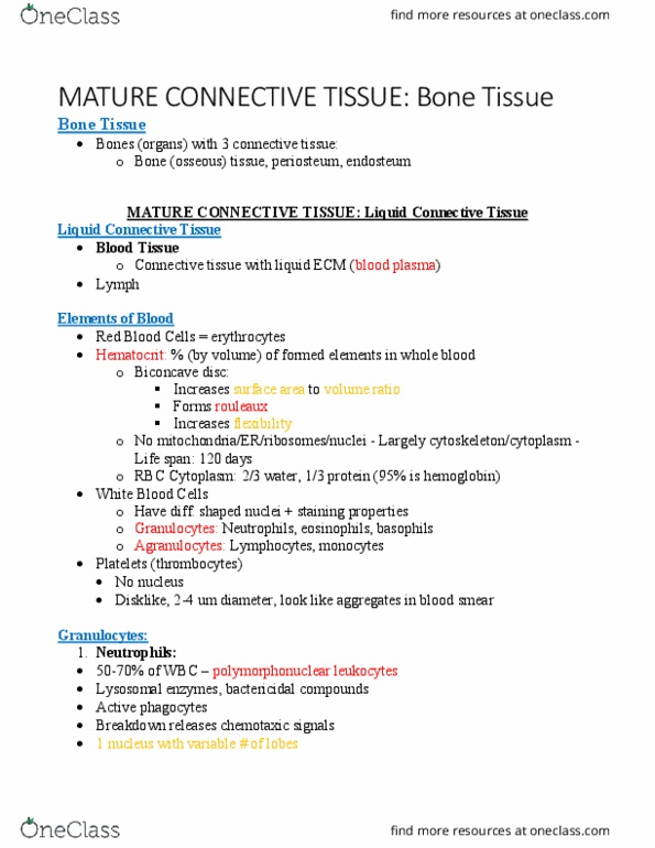 BIOL 3100 Chapter Notes - Chapter 1.5: Connective Tissue, Blood Film, Rouleaux thumbnail