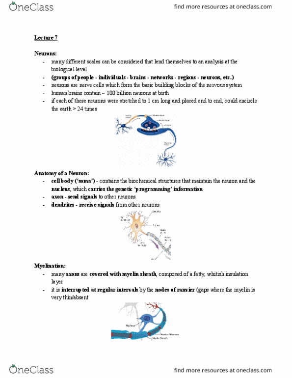 PSYCO104 Lecture Notes - Lecture 7: Genetic Programming, Multiple Sclerosis, Neuroglia thumbnail