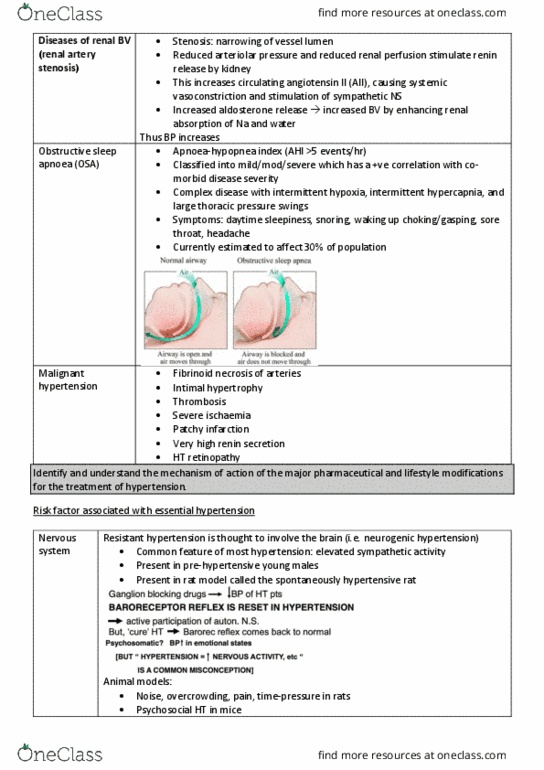 PHSI3012 Lecture Notes - Lecture 12: Fibrinoid Necrosis, Hypertensive Emergency, Renal Artery thumbnail