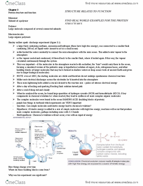 BIOLOGY 1A03 Chapter Notes - Chapter 3: Antibody, Myosin, Blood Vessel thumbnail