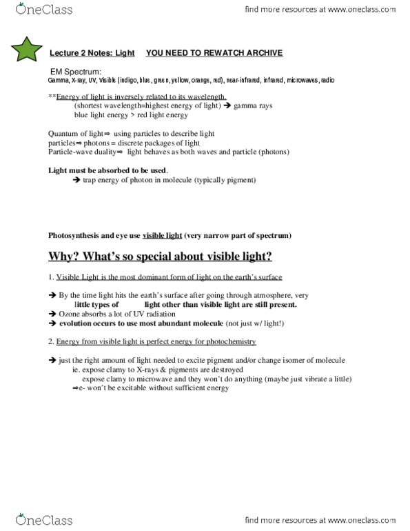 Biology 1001A Lecture Notes - Transducin, Chloroplast, Rhodopsin thumbnail