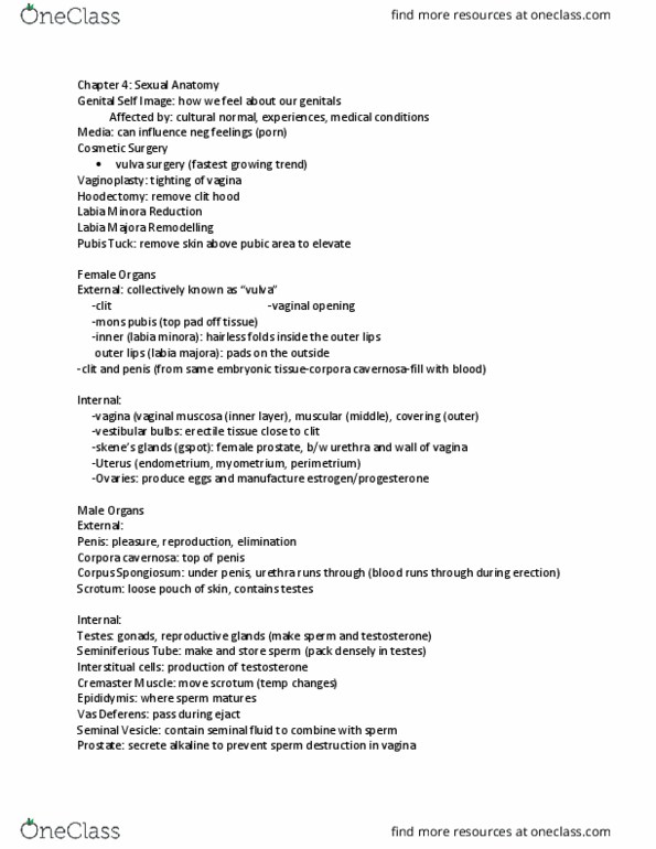 Psychology 2075 Chapter Notes - Chapter 4: Mons Pubis, Bulb Of Vestibule, Semen thumbnail