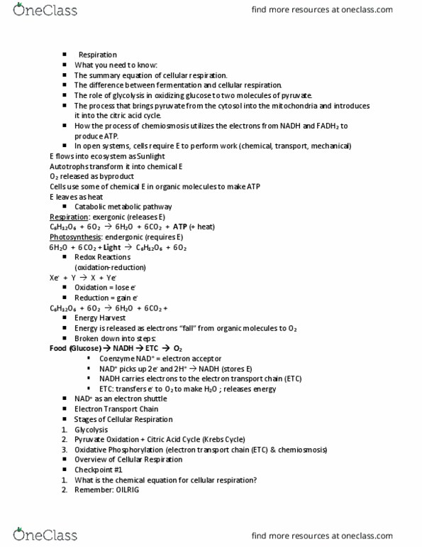 BSCI 10001 Chapter Notes - Chapter 9: Cellular Respiration, Oxidative Phosphorylation, Citric Acid Cycle thumbnail