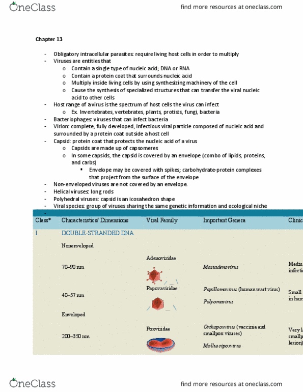 BIOL 1353 Chapter Notes - Chapter 13: Mastadenovirus, Papovavirus, Orthopoxvirus thumbnail