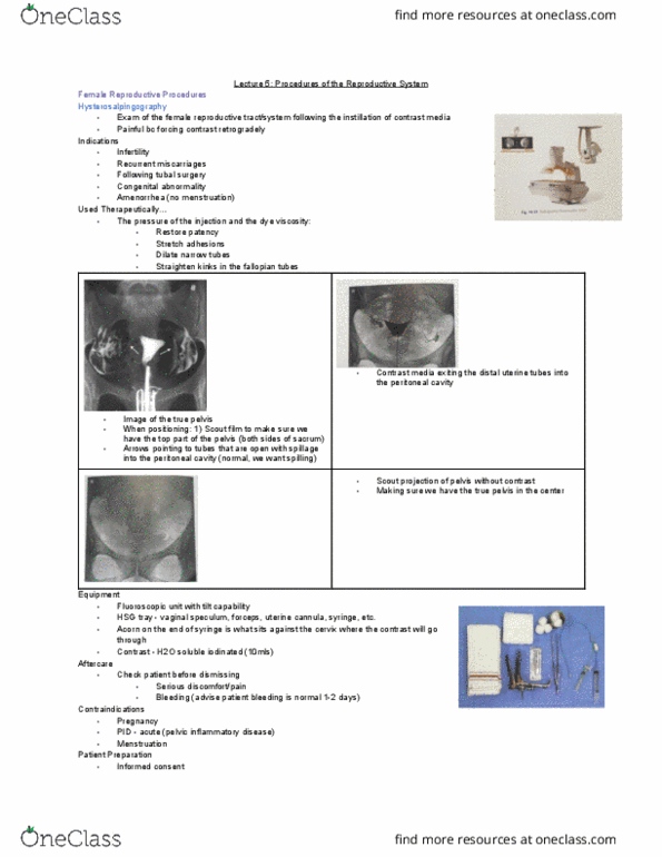 MEDRADSC 3J03 Lecture Notes - Lecture 5: Pelvic Inflammatory Disease, Fallopian Tube, Pelvic Cavity thumbnail