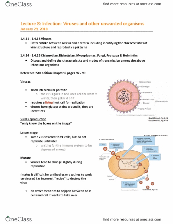 MEDRADSC 1B03 Lecture Notes - Lecture 8: Intracellular Parasite, Rickettsia, Helminths thumbnail