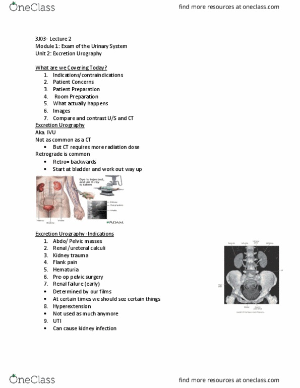 MEDRADSC 3J03 Lecture Notes - Lecture 2: Kidney Failure, Hematuria, Laxative thumbnail