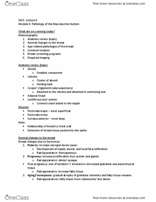 MEDRADSC 3J03 Lecture Notes - Lecture 6: Lactiferous Duct, Parenchyma, Pectoralis Minor Muscle thumbnail