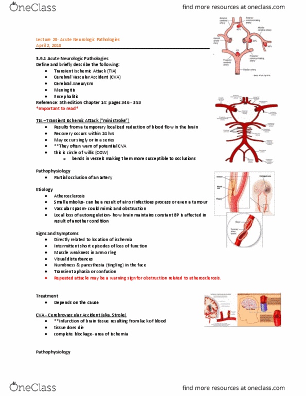 MEDRADSC 1B03 Lecture Notes - Lecture 28: Transient Ischemic Attack, Vasospasm, Vision Disorder thumbnail