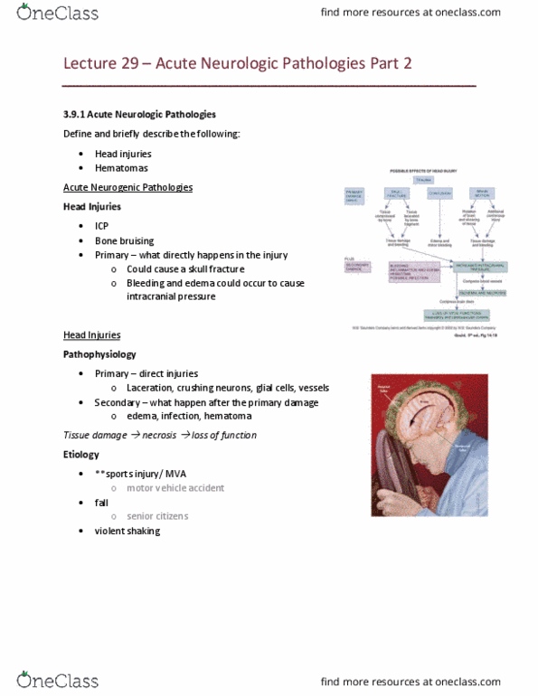 MEDRADSC 1B03 Lecture Notes - Lecture 29: Intracranial Pressure, Neuroglia, Wound thumbnail
