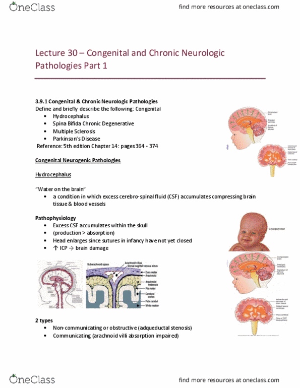 MEDRADSC 1B03 Lecture Notes - Lecture 30: Spina Bifida, Arachnoid Granulation, Degenerative Disease thumbnail