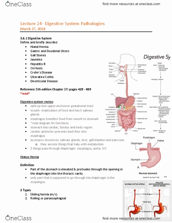 MEDRADSC 1B03 Lecture Notes - Lecture 24: Peptic Ulcer, Ulcerative Colitis, Thoracic Cavity thumbnail