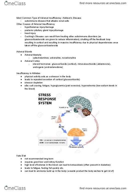 NURS 216 Lecture Notes - Lecture 9: Posterior Pituitary, Glucocorticoid, Androstenedione thumbnail