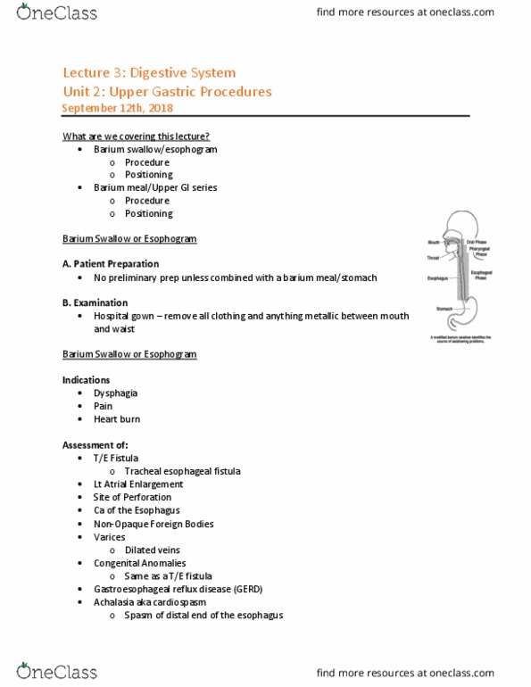 MEDRADSC 2I03 Lecture Notes - Lecture 3: Abdominal Wall, Dysphagia, Hiatus Hernia thumbnail