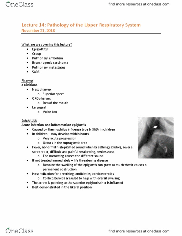 MEDRADSC 2I03 Lecture Notes - Lecture 14: Haemophilus Influenzae, Pulmonary Embolism, Epiglottitis thumbnail