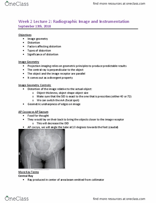 MEDRADSC 2Y03 Lecture Notes - Lecture 4: Collimator, Coccyx, Dosimetry thumbnail