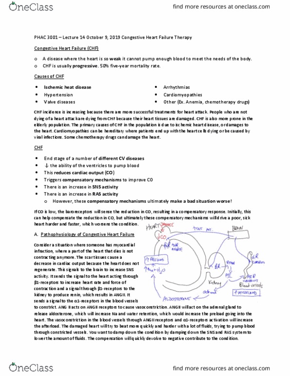 PHAC 3001 Lecture Notes - Lecture 14: Coronary Artery Disease, Cardiac Output, Adrenal Gland thumbnail