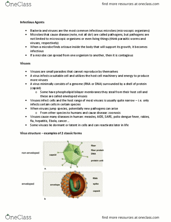 HSCI 100 Lecture Notes - Lecture 7: Dengue Fever, Lipid Bilayer, Zoonosis thumbnail