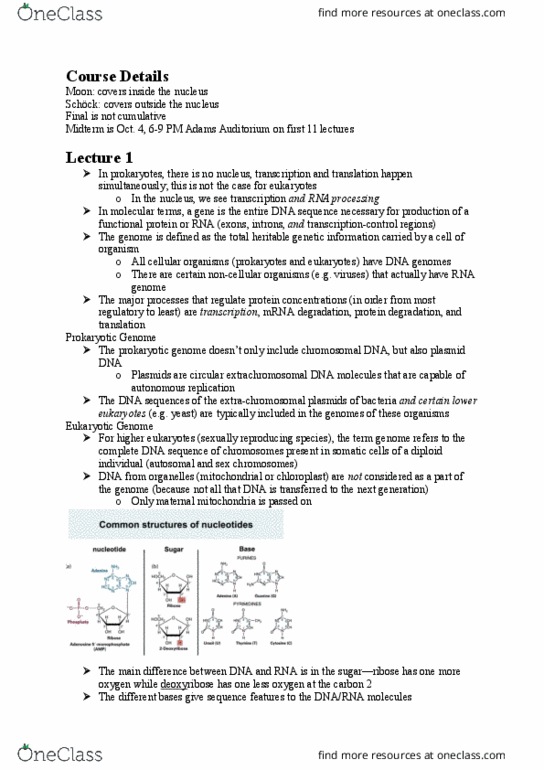 BIOL 300 Lecture Notes - Lecture 1: Extrachromosomal Dna, Plasmid, Prokaryote thumbnail