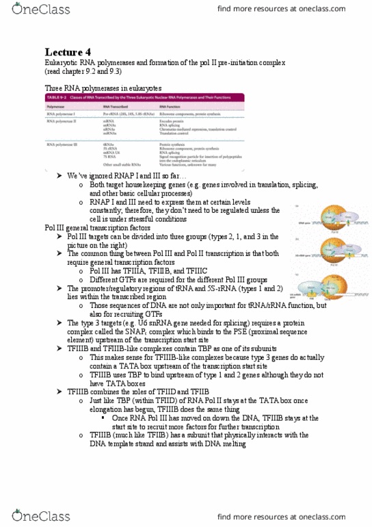 BIOL 300 Lecture Notes - Lecture 4: Rna Polymerase Iii, Tata Box, Transcription Preinitiation Complex thumbnail