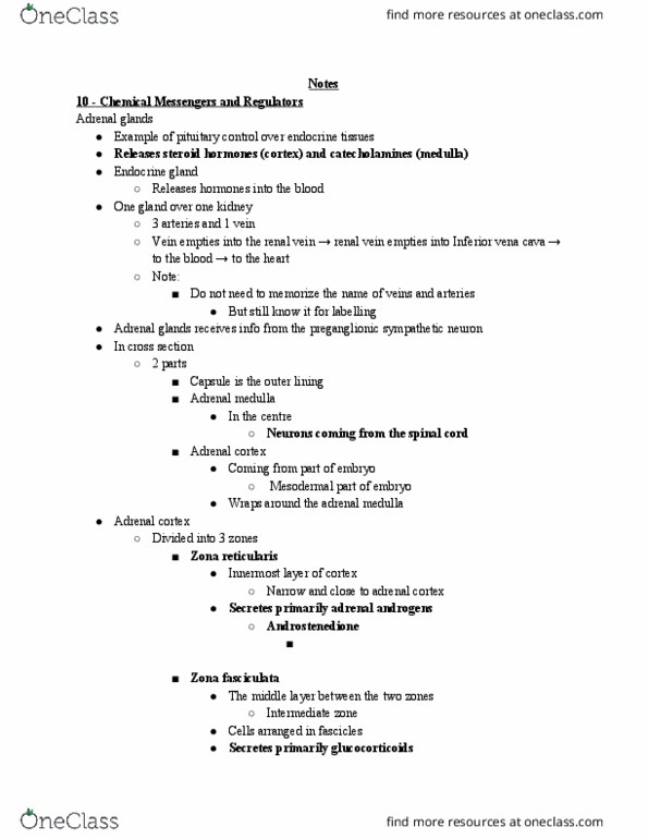 BIO310H5 Lecture Notes - Lecture 12: Zona Fasciculata, Inferior Vena Cava, Adrenal Medulla thumbnail