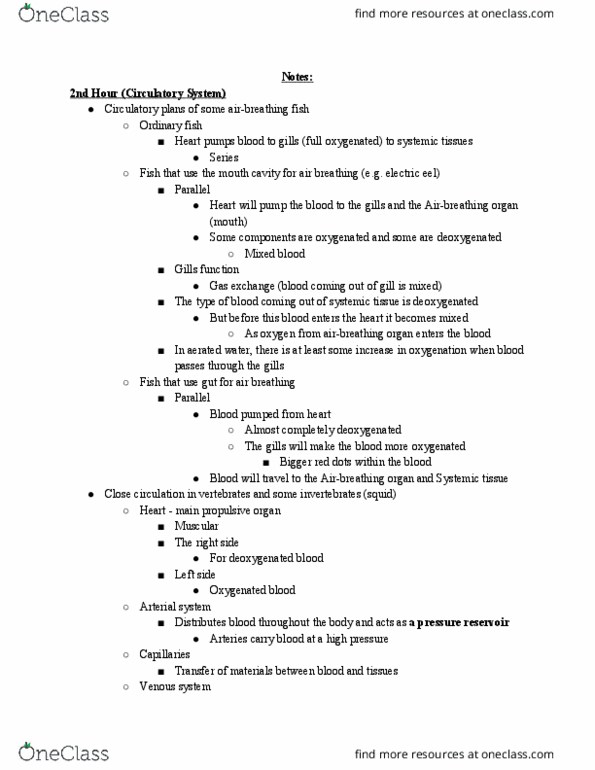 BIO310H5 Lecture Notes - Lecture 13: Electric Eel, Blood Pressure, Gas Exchange thumbnail