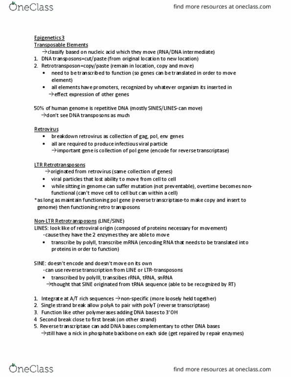 Biology 3597A/B Lecture Notes - Lecture 14: Retrotransposon, Transposable Element, Reverse Transcriptase thumbnail