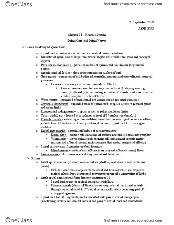 APPH 3753 Chapter Notes - Chapter 14: Filum Terminale, Conus Medullaris, Dorsal Root Ganglion thumbnail