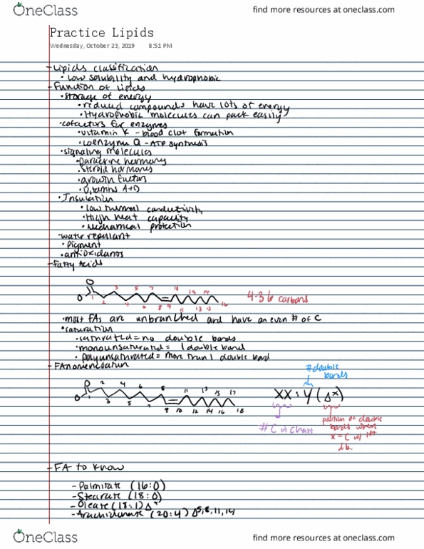 BIOC 8101 Lecture 29: practice lipids thumbnail