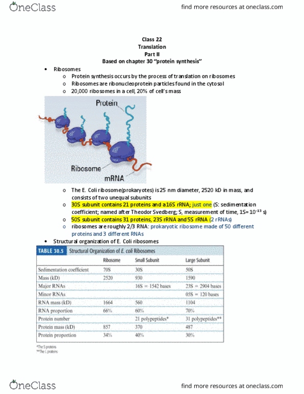 BIOCHEM 2B03 Lecture Notes - Lecture 22: Sedimentation Coefficient, Ribonucleoprotein, Ribosomal Rna thumbnail