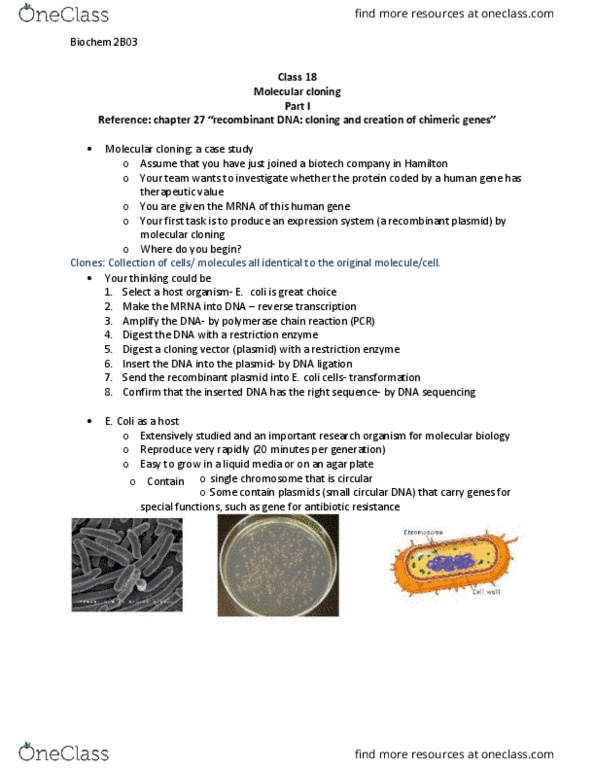 BIOCHEM 2B03 Lecture Notes - Lecture 18: Molecular Cloning, Gene Expression, Restriction Enzyme thumbnail