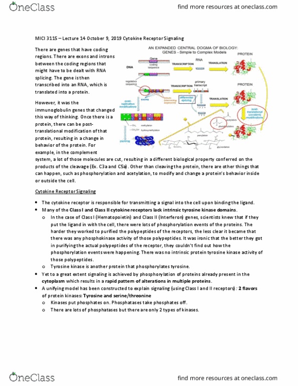 MICI 3115 Lecture Notes - Lecture 14: Cytokine Receptor, Protein Kinase, Erythropoietin thumbnail