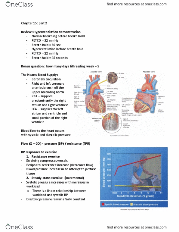 KIN 3470 Lecture Notes - Lecture 23: Petco, Ascending Aorta, Coronary Circulation thumbnail