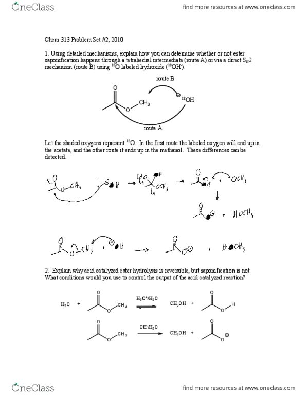 CHEM 313 Chapter Notes -Alkylation, Peptide Synthesis, Protecting Group thumbnail