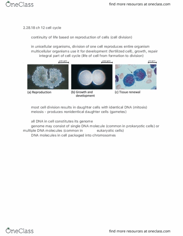 BIOLOGY 108 Lecture Notes - Lecture 14: Meiosis, Chromosome, Centrosome thumbnail