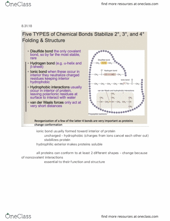 BIOLOGY 202 Lecture Notes - Lecture 6: Ionic Bonding, Hydrophile, Ubiquitin thumbnail